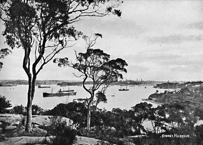 Porto de Sydney, de Cremorne Point, c1900. de Unbekannt