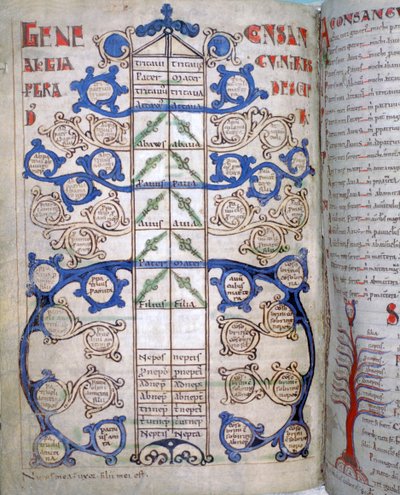 Tabela dos graus de consanguinidade, uma página de Liber Floridus, século XII de Unbekannt
