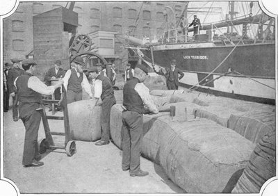 Contando fardos de lã nas docas de Londres, c1900 1901 de Unbekannt