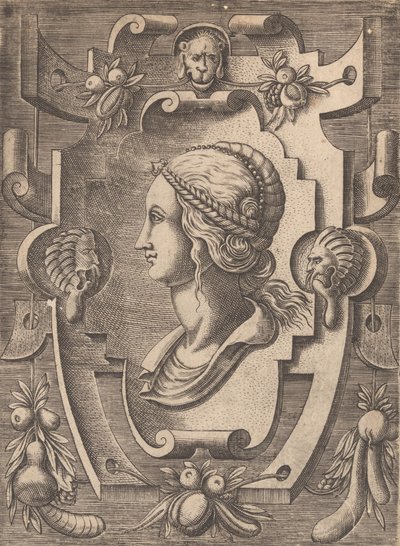 Placas e outros ornamentos de várias e caprichosas invenções Cartuchos e outros ornamentos de ..., 1773. de Unbekannt