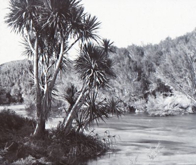 Rio Waihou, Okoroire, final do século XIX e início do século XX. de Unbekannt