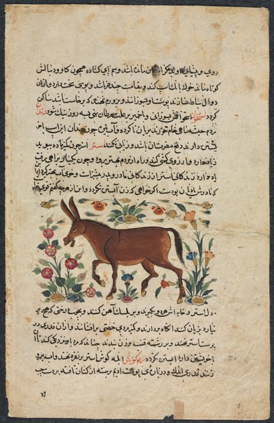 Página de texto, prosa persa reto, Khar Ass Verso, 1400s. de Unbekannt