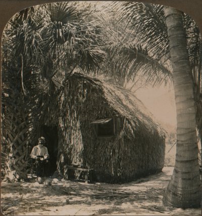 Casa de palha em Cocoanut Grove, Flórida, EUA, c1900 de Unbekannt