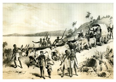 A chegada ao lago Ngami, 1883 de Unbekannt