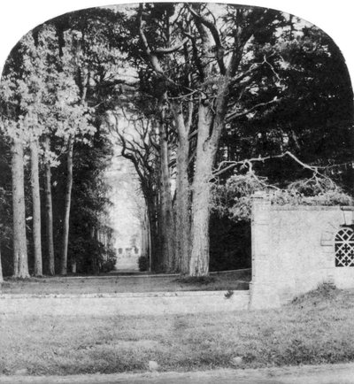 The Avenue, Guys Cliff, Warwick, início do século XX de Unbekannt