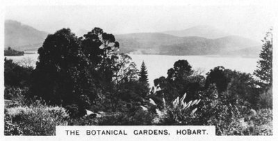 O Jardim Botânico, Hobart, Tasmânia, 1928 de Unbekannt