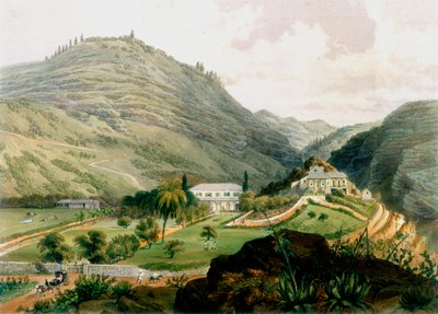 Os Briars, Santa Helena, início do século XIX 1851 de Unbekannt