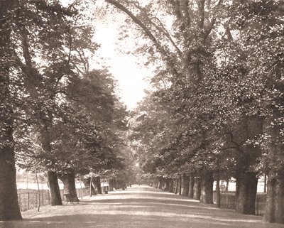 A caminhada larga, Oxford, 1894. de Unbekannt