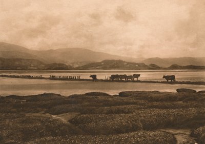 O Dovey em Ynyslas, 1902 de Unbekannt