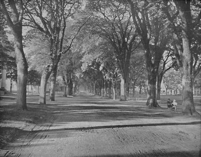 The Elms, New Haven, Connecticut, c1897. de Unbekannt