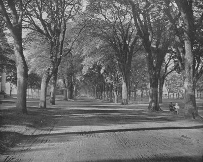 The Elms, New Haven, Connecticut, EUA, c1900. de Unbekannt