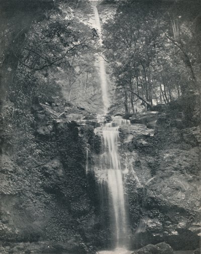 Cachoeira do Emu Vale, século XIX de Unbekannt