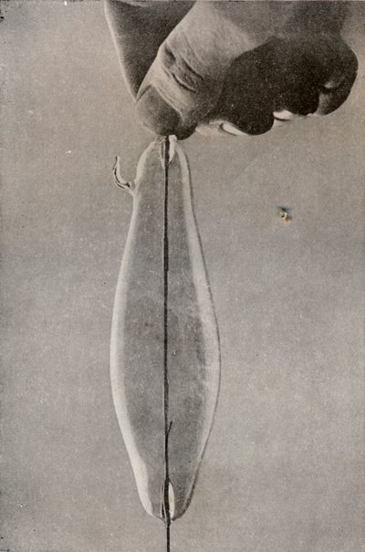A primeira lâmpada elétrica incandescente, c1916 de Unbekannt