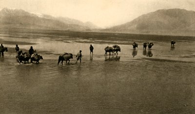 A primeira vista do Monte Everest, c1918-c1939. de Unbekannt