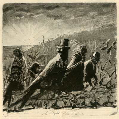 O vôo das andorinhas, 1882. de Unbekannt