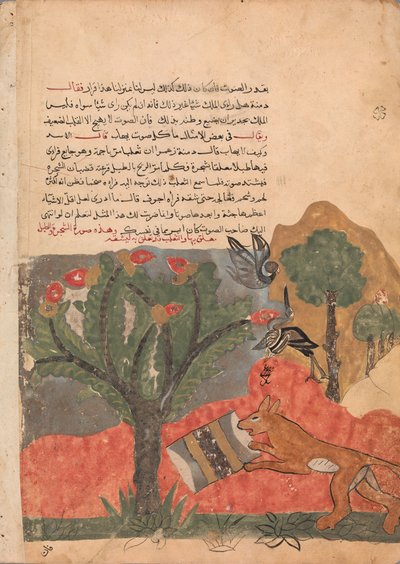 A Raposa e o Tambor, Folio de um Kalila wa Dimna, século XVIII. de Unbekannt