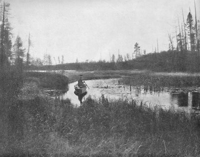 A entrada, Thunder Lake, Wisconsin, c1897. de Unbekannt