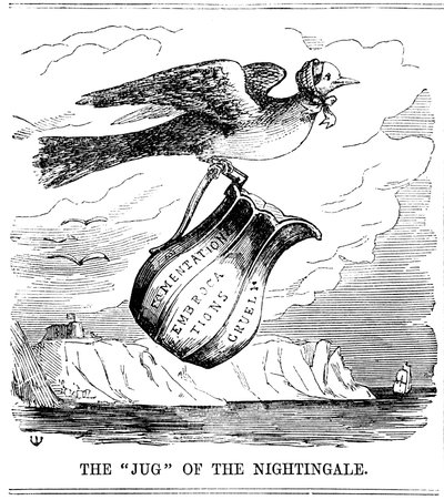 O Jarro do Rouxinol, 1854 de Unbekannt