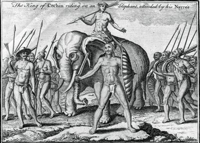O rei de Cochim montado em um elefante, com a presença de seu Nayros, c1745 de Unbekannt