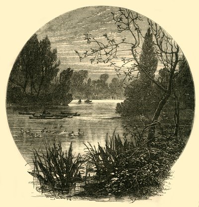 O lago, Battersea Park, c1878. de Unbekannt