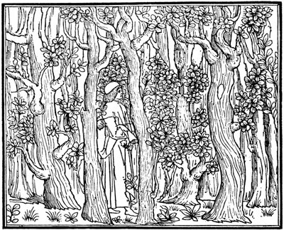 O Amante na Madeira, 1499 1964 de Unbekannt