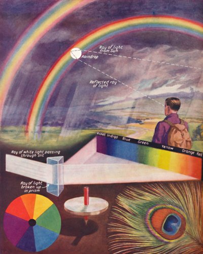 As muitas cores que compõem a luz branca, 1935 de Unbekannt