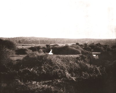 A Nova Floresta, Hampshire, 1894. de Unbekannt