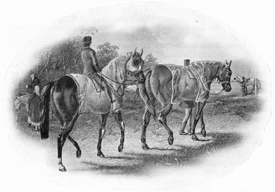 A Próxima Corrida, século 19, 1911 de Unbekannt