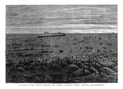Ferrovia dos Pampas, planície sul-americana, 1877 de Unbekannt