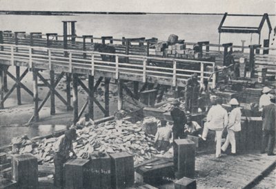 A indústria de pesca de pérolas - Shell de embalagem, 1923. de Unbekannt