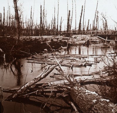 O rio Ailette, norte da França, c1914-c1918 de Unbekannt