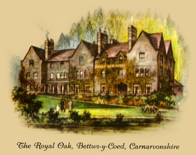 O carvalho real, Bettws-y-Coed, Carnavonshire, 1936. de Unbekannt