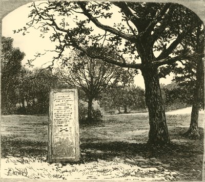 A Pedra Rufus na Floresta Nova, 1890. de Unbekannt
