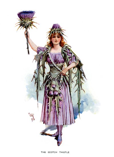 O cardo escocês, 1899 de Unbekannt