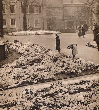 O funeral do rei George V em Windsor: coroas comemorativas, 1936 de Unbekannt