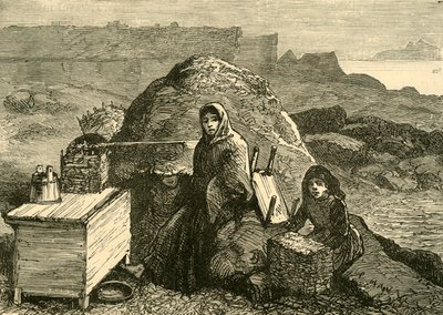 O estado da Irlanda: uma família despejada perto de Errismore, c1880. de Unbekannt