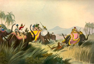 A caça ao tigre, c1808, 1901. de Unbekannt