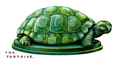 A tartaruga, 1923 de Unbekannt