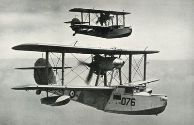 A morsa de Vickers-Armstrongs, 1941. de Unbekannt