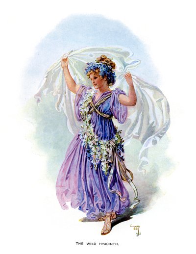 O jacinto selvagem, 1899 de Unbekannt