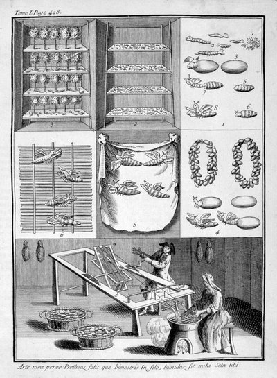 A criação de bichos-da-seda, 1775 de Unbekannt