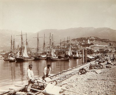 A construção de um píer em Yalta, na Crimeia, final do século XIX de Unbekannt