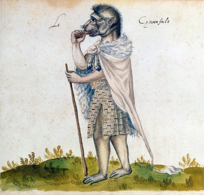 O cynoscephalus, século XV de Unbekannt
