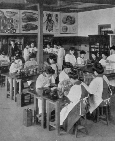 O ensino superior das mulheres no Japão, 1910 de Unbekannt
