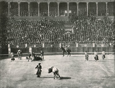 O interior da Praça de Touros, Madri, Espanha, 1895. de Unbekannt