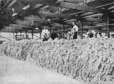 A fabricação de cáqui - mistura de lã, 1915 de Unbekannt