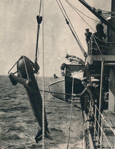 O paravano em forma de tubarão, 1943 de Unbekannt