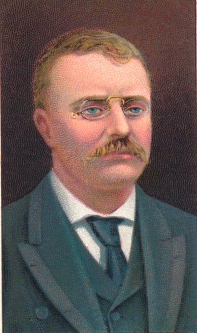 Theodore Roosevelt 1858-1919, 26º Presidente dos Estados Unidos, 1906 de Unbekannt