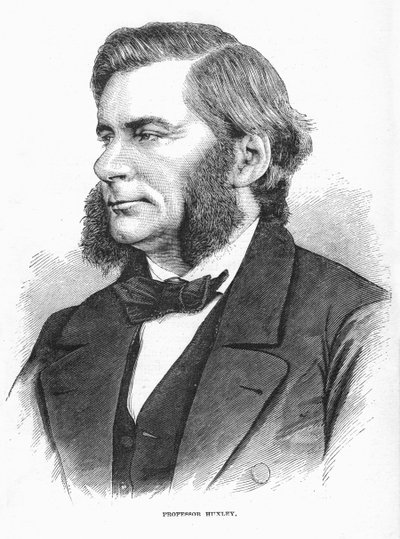 Thomas Henry Huxley, biólogo britânico, c1860s de Unbekannt