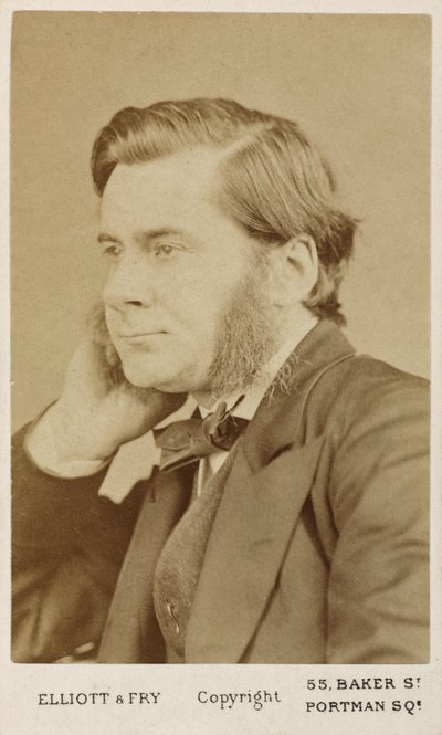 Thomas Henry Huxley, biólogo britânico, c1865-1886 de Unbekannt